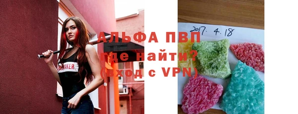 ПСИЛОЦИБИНОВЫЕ ГРИБЫ Каменка