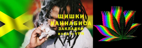 ПСИЛОЦИБИНОВЫЕ ГРИБЫ Каменка
