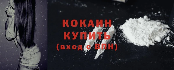 ПСИЛОЦИБИНОВЫЕ ГРИБЫ Каменка