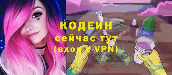ПСИЛОЦИБИНОВЫЕ ГРИБЫ Каменка