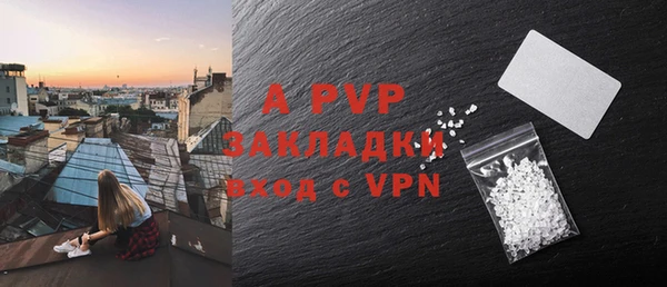 ПСИЛОЦИБИНОВЫЕ ГРИБЫ Каменка