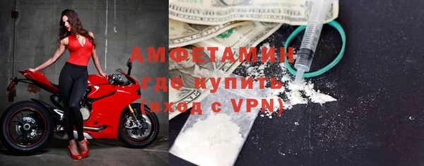 ПСИЛОЦИБИНОВЫЕ ГРИБЫ Каменка