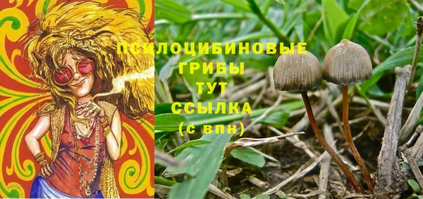 гашишное масло Каменск-Шахтинский