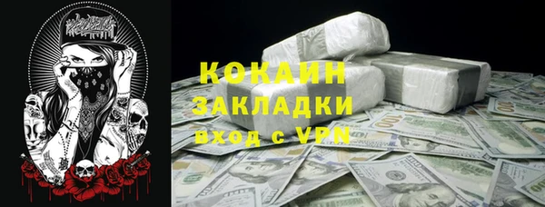ПСИЛОЦИБИНОВЫЕ ГРИБЫ Каменка