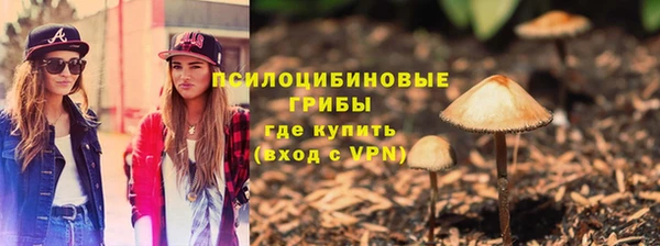 ПСИЛОЦИБИНОВЫЕ ГРИБЫ Каменка