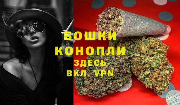 Альфа ПВП Каменногорск