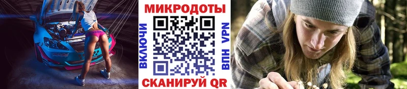 Псилоцибиновые грибы Psilocybine cubensis  Купить  Светогорск 